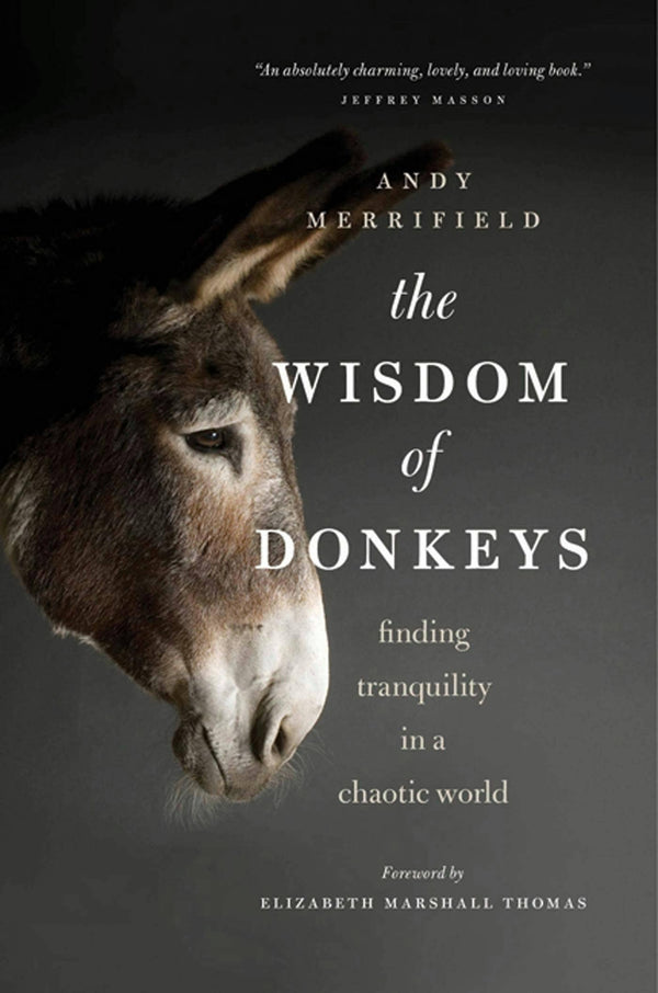 The Wisdom Of Donkeys: Finding Tranquility