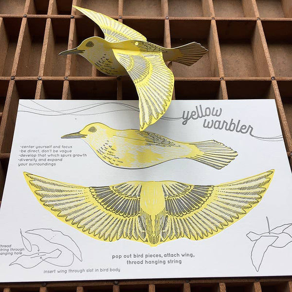 Warbler pop-out bird card
