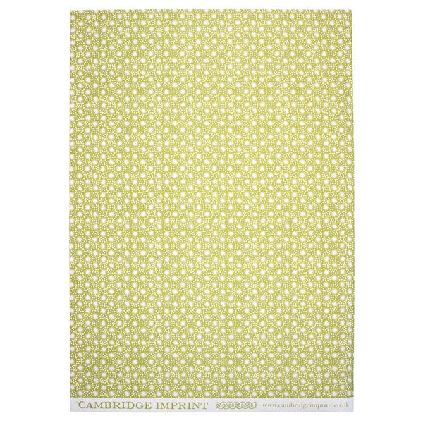 Patterned Paper Animalcules Bawden Green