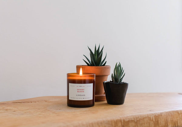 Desert Bloom Candle
