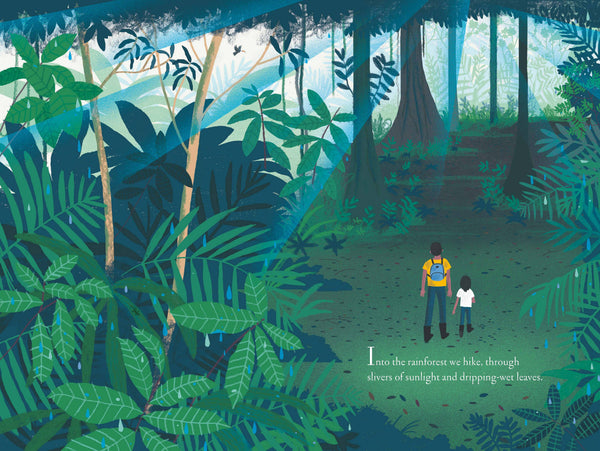 Over and Under the Rainforest