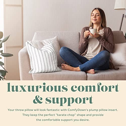 ComfyDown Decorative Throw Pillow Insert, Down - Square