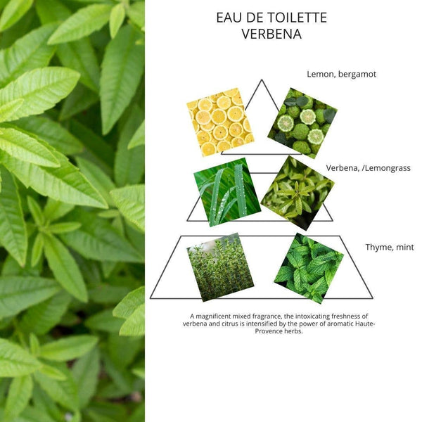 Nicolosi Creations - EDT - 1.69oz (50ml) - Verbena