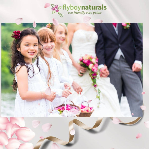 Oh My Deep Red Real Rose Petals Freeze-dried. Wedding USA