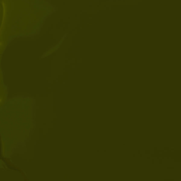 Vegan & 21-free Nail Polish - La Route Verte