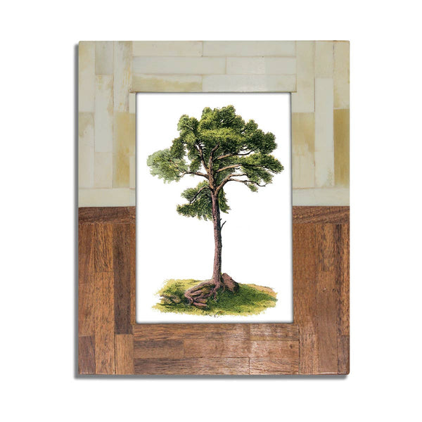 Split Wood & Bone Photo Frame