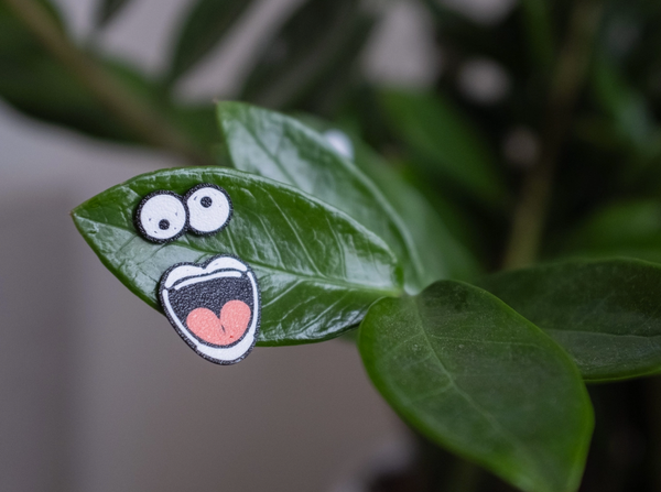 Magnetic Plant Faces | Magnet Charms for Plants