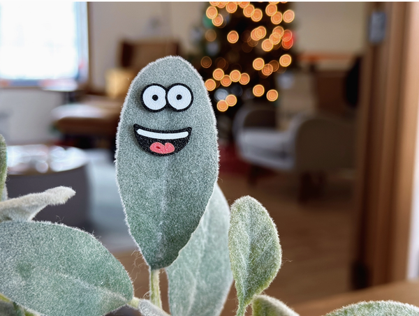 Magnetic Plant Faces | Magnet Charms for Plants