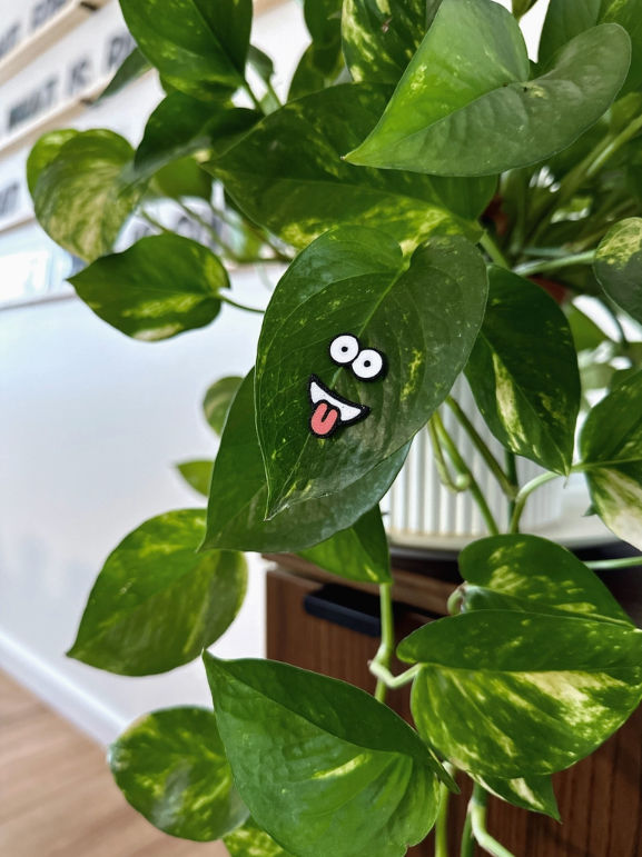 Magnetic Plant Faces | Magnet Charms for Plants