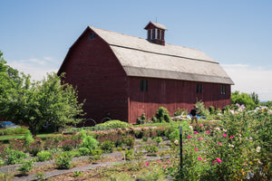 A red barn at the Diddle and Zen flower farm in Addison County, Vermont.
