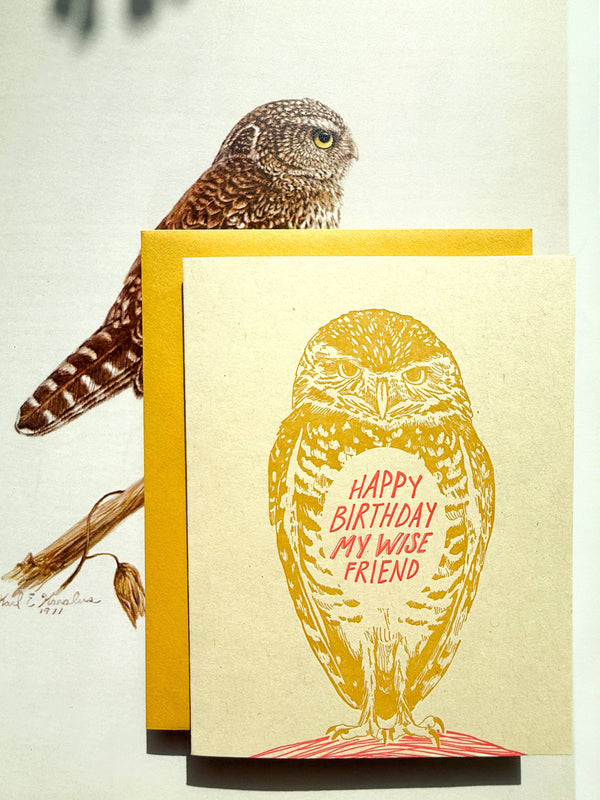Happy birthday wise friend owl card