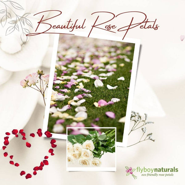 Oh My Deep Red Real Rose Petals Freeze-dried. Wedding USA