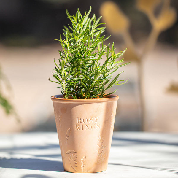 Basil Orange Garden Pot Candle + Plantable Seed Dust Cover