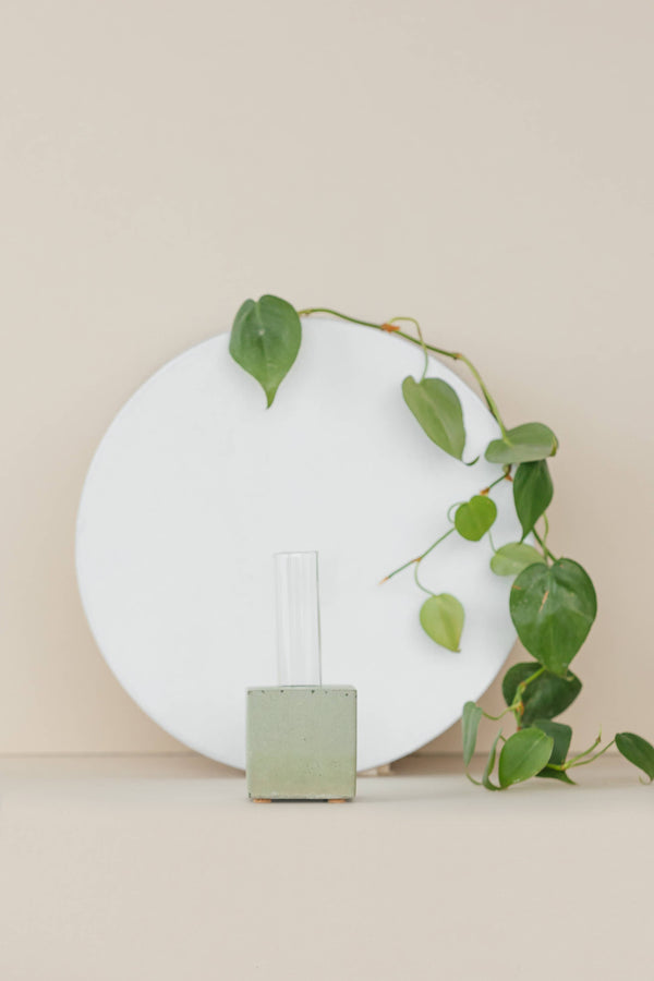 Propagation Vase | Cutting Holder and Propagation Station