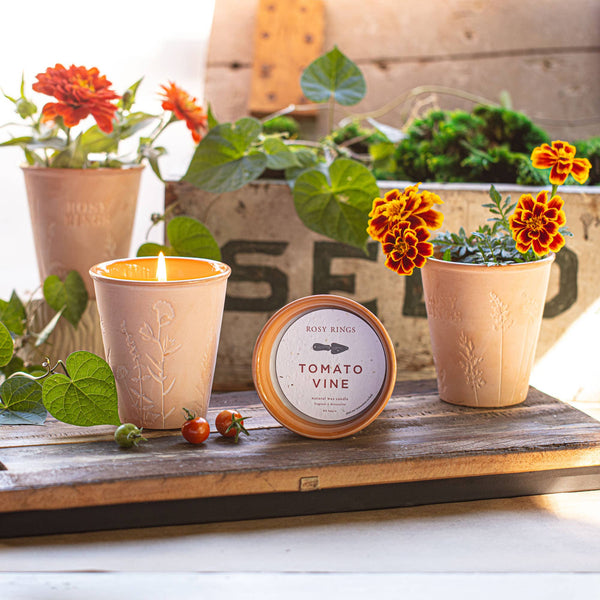 Basil Orange Garden Pot Candle + Plantable Seed Dust Cover
