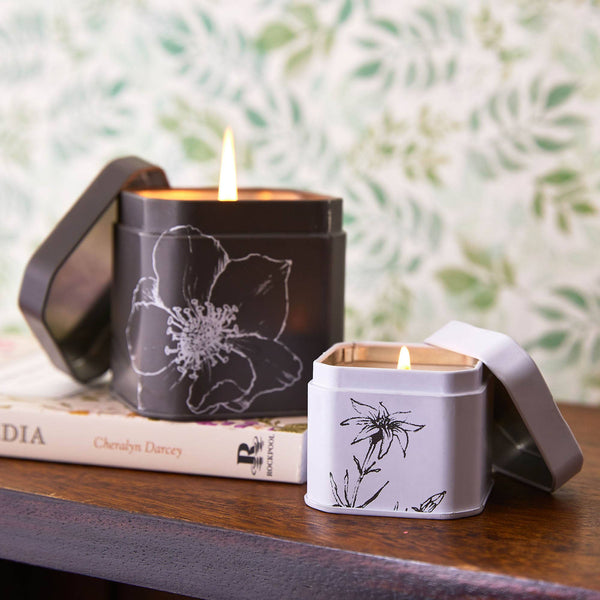 Spicy Apple Signature Tin