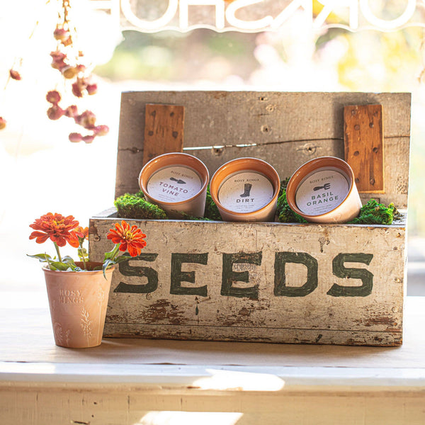 Basil Orange Garden Pot Candle + Plantable Seed Dust Cover