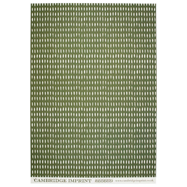 Patterned Paper Seed Olive