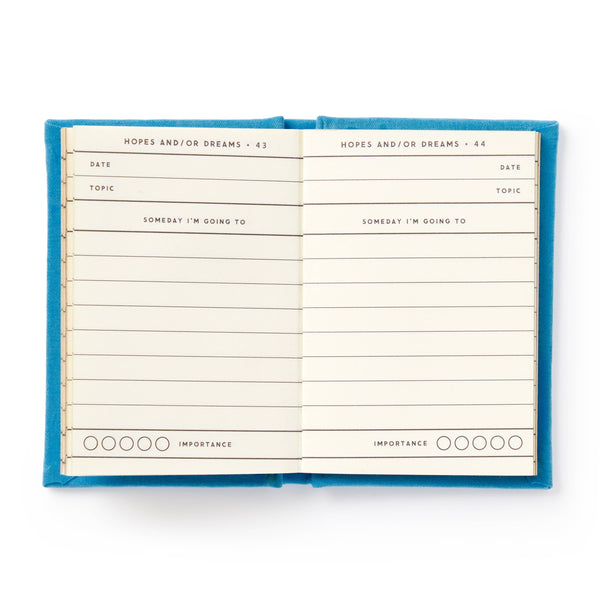 Brass Monkey Tiny Hopes And Dreams Tiny Diary