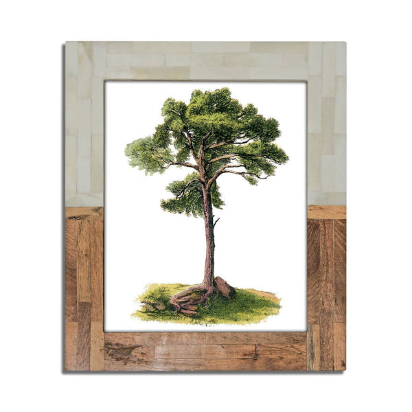 LG Split Wood & White Bone Frame