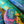 PARROT GREETING CARD