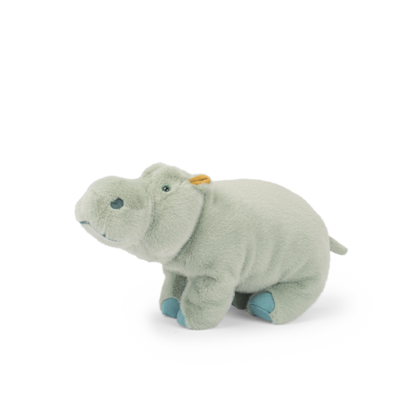 Large hippopotamus - All Around the World