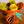 Orange Honeycomb Ornament