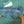 Whale Fabric Case