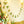 Midcentury Trees Sewn Garland
