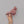Cardinal of Hope