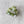 Eco Kylie Cellulose Acetate Hair Clip