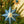 Midnight Star Screen-Printed Board Golden Star Screen-Printed Board Decoration