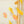 SHELL SEWN GARLAND