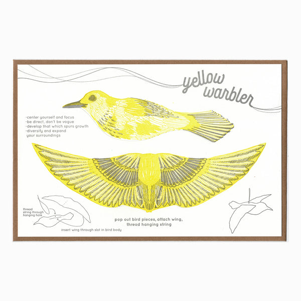Warbler pop-out bird card