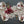 Red Cardinal Ornament