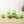 Moroccan Cone Glassware Small - Green