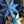 Twinkling Star Screen-Printed Board Golden Star Screen-Printed Board Decoration