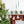 Forest Sewn Garland