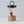 Euro Canister Scoop, Beechwood