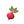 Embroidered Red Beet Iron On Patch Applique Vegetable Farmer