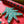 Christmas Trees Concertina Garland