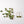 Belen Minimalist Gemstone Earring - Canadian Jade