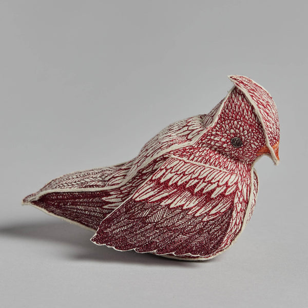 Cardinal of Hope