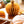 PUMPKIN HONEYCOMB