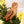 WINTER BIRDS PAPER ORNAMENTS