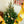 WINTER BIRDS PAPER ORNAMENTS