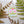 Bloom Where You Are Planted Sticker - Light Blue