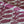 Patterned Paper Dogs Blackcurrant Squash