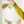 FOREST SEWN GARLAND
