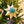 Golden Star Screen-Printed Board Decoration